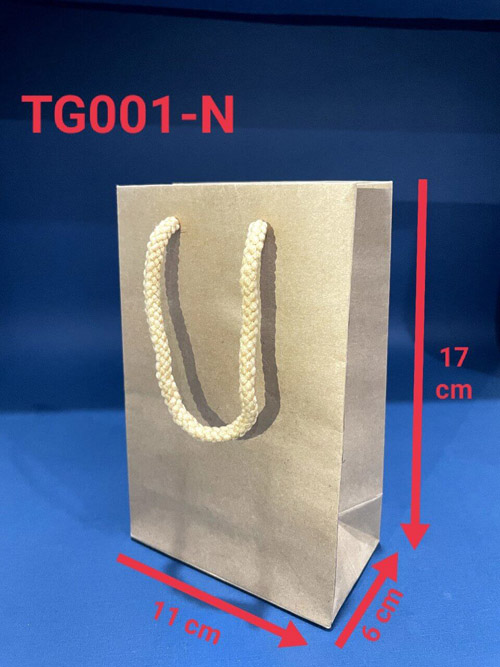 Túi giấy TG001-N